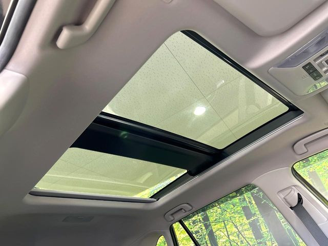 �y�T�����[�t�z�J���������Ղ�̊󏭑����A�T�����[�t����������Ă��܂�!�ԓ��ɖ�����������ꂽ��i�F���y���ވȊO�ɂ��A�ԓ��̋�C���ȒP�Ɋ��C�ł��ĉ��K�ł�!