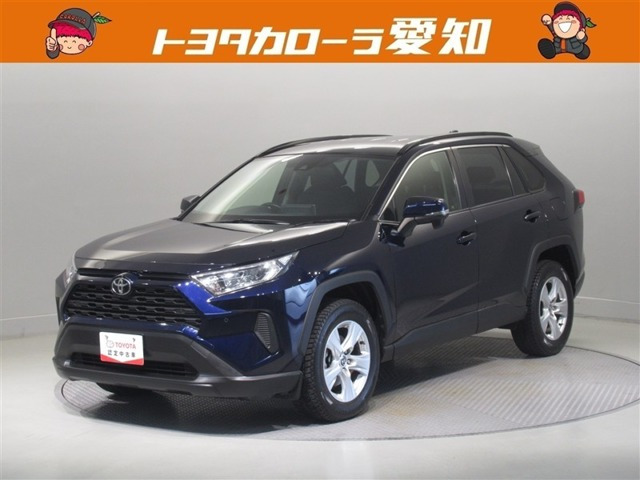 RAV42.0 X