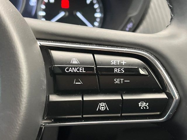 �y�}�c�_�E���[�_�[�N���[�Y�R���g���[���z�������H�ł̒��������s���y��!�����ő��x��ۂN���[�Y�R���g���[�����A�Փˌy���V�X�e���ƘA�g���A�O���̎ԗ������m���ĎԊԂ�ۂ悤�ɑ��x���߂��Ă���܂�!!