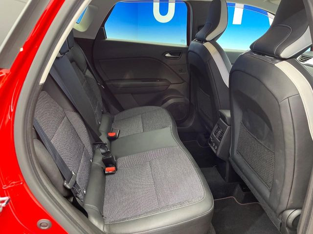 ���㕔���Ȃ��C�ɂȂ�悤�ȃL�Y�E�����ւ��蓙�A�傫�ȃ_���[�W�͂Ȃ��A�ǍD�ȏ�Ԃł��B