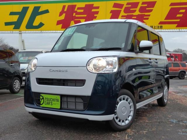 ムーヴキャンバスストライプス X