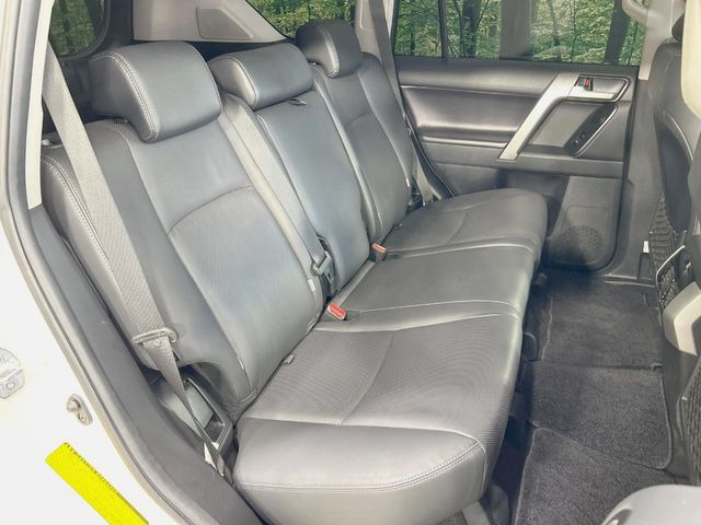 �㕔���Ȃ��C�ɂȂ�悤�ȃL�Y�E�����ւ��蓙�A�傫�ȃ_���[�W�͂Ȃ��A�ǍD�ȏ�Ԃł��B