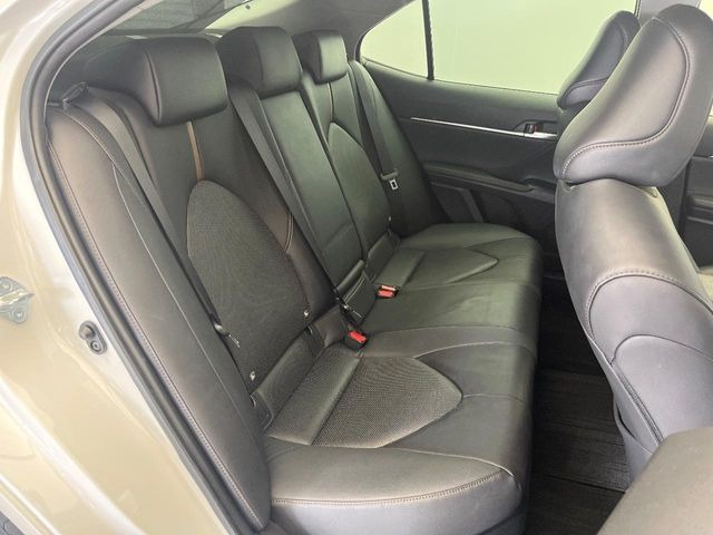 �㕔���Ȃ��C�ɂȂ�悤�ȃL�Y�E�����ւ��蓙�A�傫�ȃ_���[�W�͂Ȃ��A�ǍD�ȏ�Ԃł��B