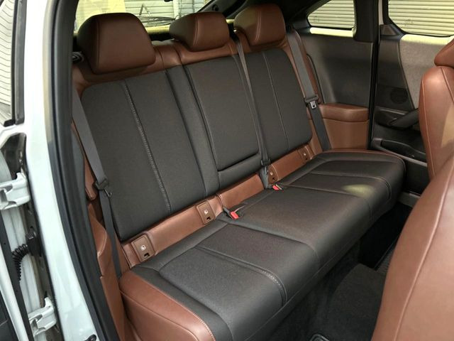 �㕔���Ȃ��C�ɂȂ�悤�ȃL�Y�E�����ւ��蓙�A�傫�ȃ_���[�W�͂Ȃ��A�ǍD�ȏ�Ԃł��B