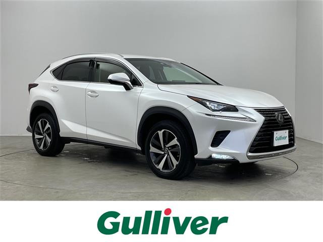 NX300 Iパッケージ