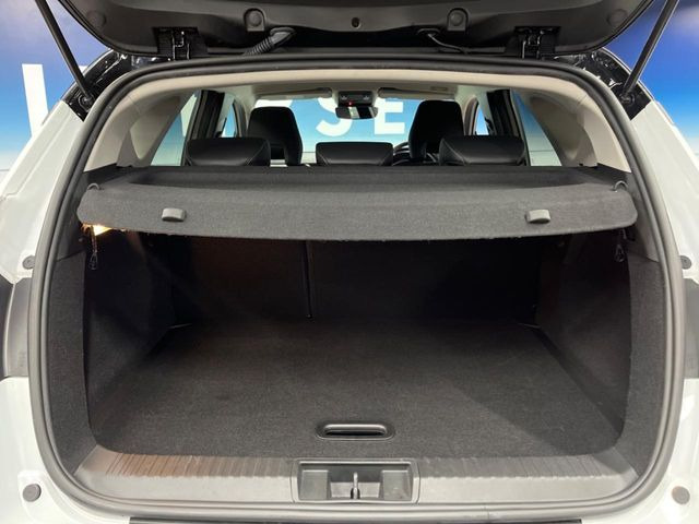 ���g�����N���[��:����L������e�X�y�[�X!���ꂾ���̍L��������΂��������⃌�W���[�Ȃǂɂ��œK�ł�!�g�p�������Ȃ����ꂢ�ȏ�Ԃ��ێ����Ă���܂��B