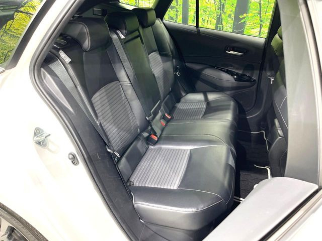 �㕔���Ȃ��C�ɂȂ�悤�ȃL�Y�E�����ւ��蓙�A�傫�ȃ_���[�W�͂Ȃ��A�ǍD�ȏ�Ԃł��B