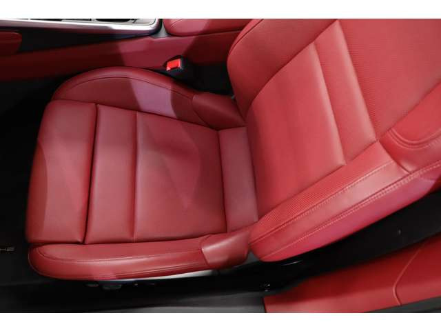 �|���V�F�G���{�X�w�b�h���X�g�t���B����̖ڂɐG��镔���ɂ��u�����h�̐��E�ς��\������Ă��܂��B