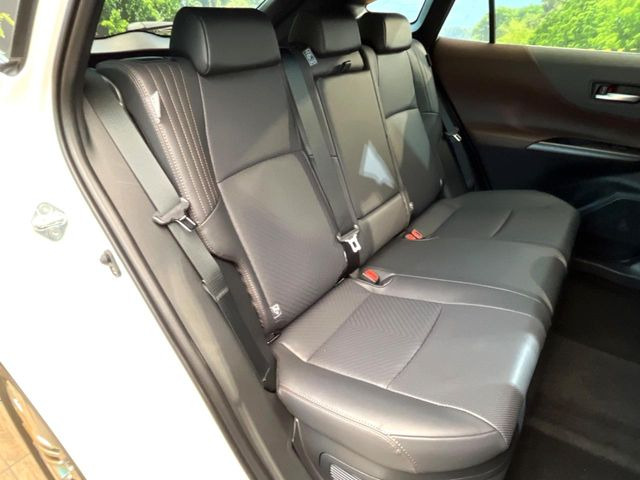 �㕔���Ȃ��C�ɂȂ�悤�ȃL�Y�E�����ւ��蓙�A�傫�ȃ_���[�W�͂Ȃ��A�ǍD�ȏ�Ԃł��B