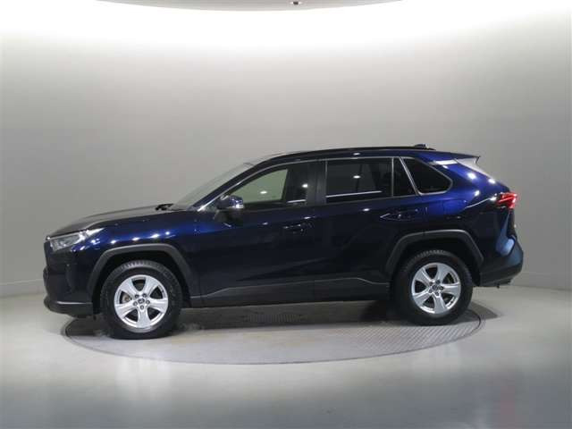 RAV42.0 X