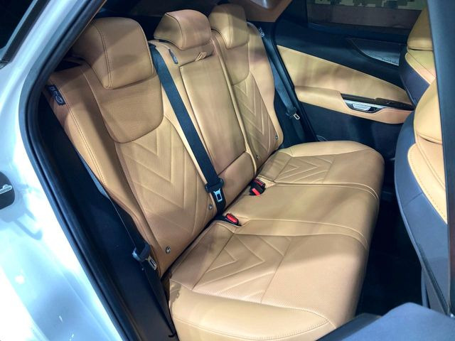 �㕔���Ȃ��C�ɂȂ�悤�ȃL�Y�E�����ւ��蓙�A�傫�ȃ_���[�W�͂Ȃ��A�ǍD�ȏ�Ԃł��B