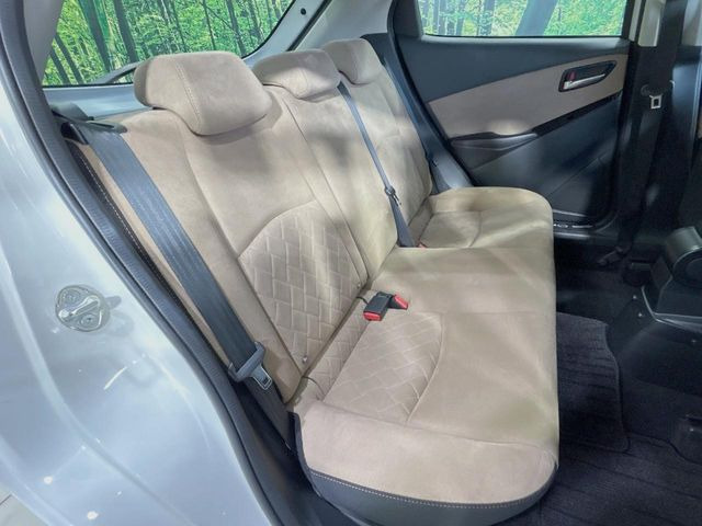 �㕔���Ȃ��C�ɂȂ�悤�ȃL�Y�E�����ւ��蓙�A�傫�ȃ_���[�W�͂Ȃ��A�ǍD�ȏ�Ԃł��B