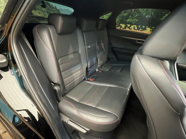 �㕔���Ȃ��C�ɂȂ�悤�ȃL�Y�E�����ւ��蓙�A�傫�ȃ_���[�W�͂Ȃ��A�ǍD�ȏ�Ԃł��B