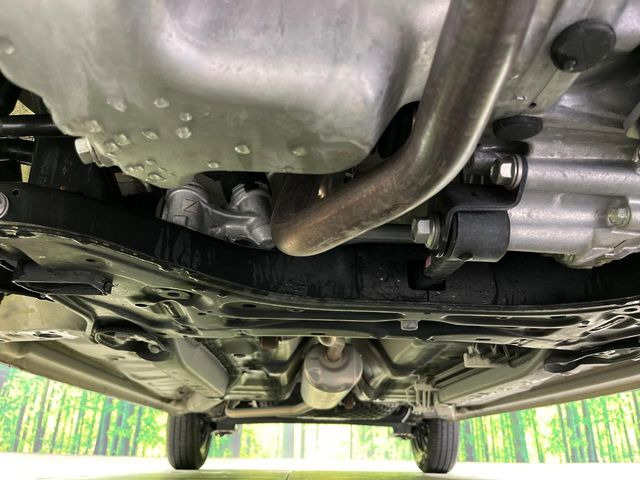 ����肪���ꂢ�Ȃ����ɁA�h�K���H�̎{�H���I�X�X���B�~��n��͂������A���ݕ��ɂ��Z���̕���A��Ń}�����E�E�B���^�[�X�|�[�c���������ɂ��D�]���������Ă���܂��B