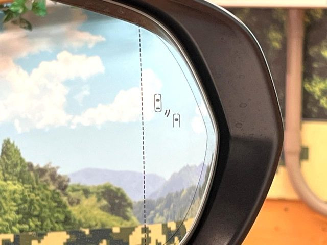 �y�u���C���h�X�|�b�g���j�^�[�z���s���A�h�A�~���[�̎��p�ɂȂ�₷���ӏ��Ɍ㑱�Ԃ��ڋ߂���ƃT�C�h�~���[�̃����Y�Ɍx����\��!�h���C�o�[�ɒ��ӊ��N�����Ă���܂��B