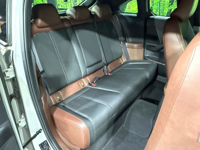 �㕔���Ȃ��C�ɂȂ�悤�ȃL�Y�E�����ւ��蓙�A�傫�ȃ_���[�W�͂Ȃ��A�ǍD�ȏ�Ԃł��B