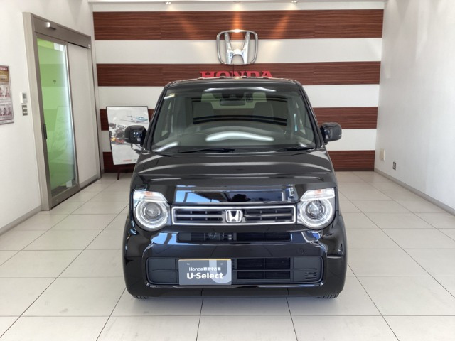 N-WGNL スタイルプラス ビター