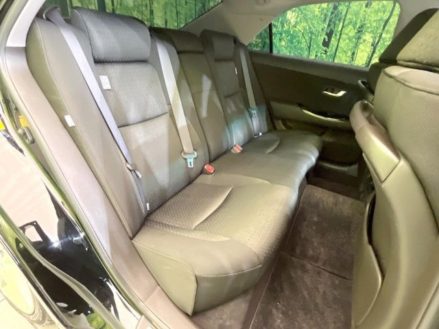 �㕔���Ȃ��C�ɂȂ�悤�ȃL�Y�E�����ւ��蓙�A�傫�ȃ_���[�W�͂Ȃ��A�ǍD�ȏ�Ԃł��B