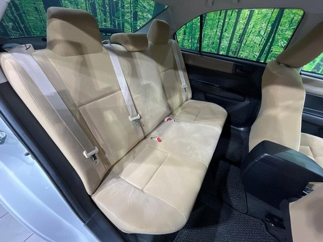 �㕔���Ȃ��C�ɂȂ�悤�ȃL�Y�E�����ւ��蓙�A�傫�ȃ_���[�W�͂Ȃ��A�ǍD�ȏ�Ԃł��B