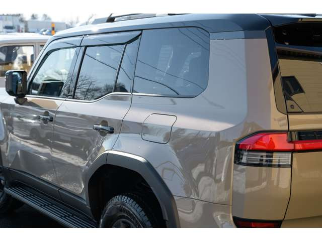 �v���X���C�������܂�Ȃ��J�b�R�����ł��B