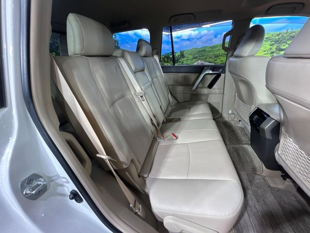 �㕔���Ȃ��C�ɂȂ�悤�ȃL�Y�E�����ւ��蓙�A�傫�ȃ_���[�W�͂Ȃ��A�ǍD�ȏ�Ԃł��B