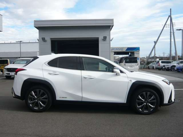 ���_�񂩂�[�Ԃ܂ŒS���c�Ƃ𒆐S�ɁA�e�X�^�b�t�S�����͂̏�A�v���ɐi�߂����Ă��������܂��B�_���Ԍɏؖ����̎葱�����ɁA�[�ԑO�Ԍ����͓_���������Ă��������A��������[�Ԃ̏����������Ă��������܂�!