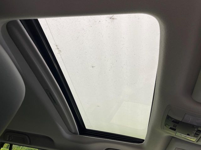 �y�T�����[�t�z�J���������Ղ�̊󏭑����A�T�����[�t����������Ă��܂�!�ԓ��ɖ�����������ꂽ��i�F���y���ވȊO�ɂ��A�ԓ��̋�C���ȒP�Ɋ��C�ł��ĉ��K�ł�!