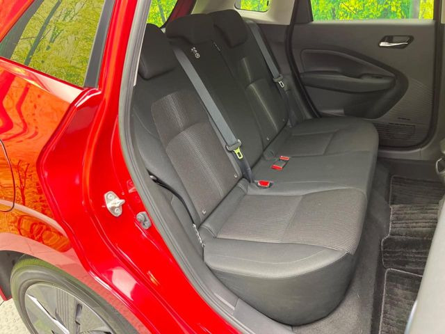 �㕔���Ȃ��C�ɂȂ�悤�ȃL�Y�E�����ւ��蓙�A�傫�ȃ_���[�W�͂Ȃ��A�ǍD�ȏ�Ԃł��B