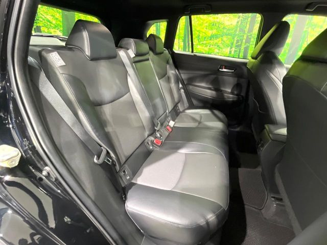 �㕔���Ȃ��C�ɂȂ�悤�ȃL�Y�E�����ւ��蓙�A�傫�ȃ_���[�W�͂Ȃ��A�ǍD�ȏ�Ԃł��B