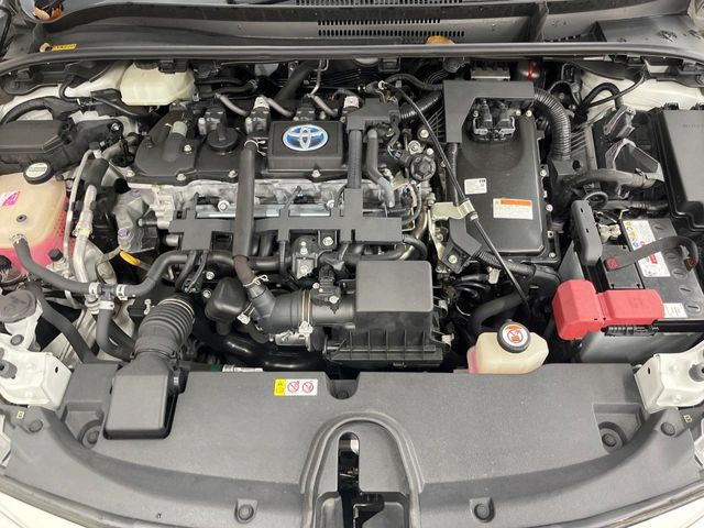 ��D�]�𒸂��Ă���܂��{�f�B�̒e�X�v���b�V���R�[�g���D�]��t���B�ʏ�̃K���X�R�[�g�ƈقȂ�A�ϋv�N��6�N�̖��@���K���X�R�[�e�B���O���A�{�f�B���L���C�ȏ�Ԃɕۂ��Ă���܂��B