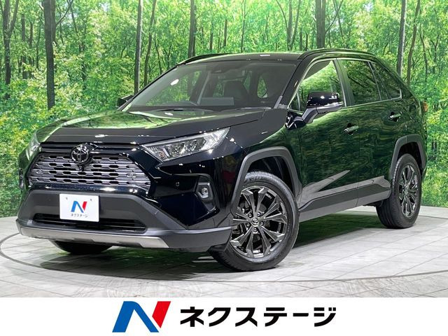 RAV4(トヨタ) 2.0 G 4WD 中古車画像
