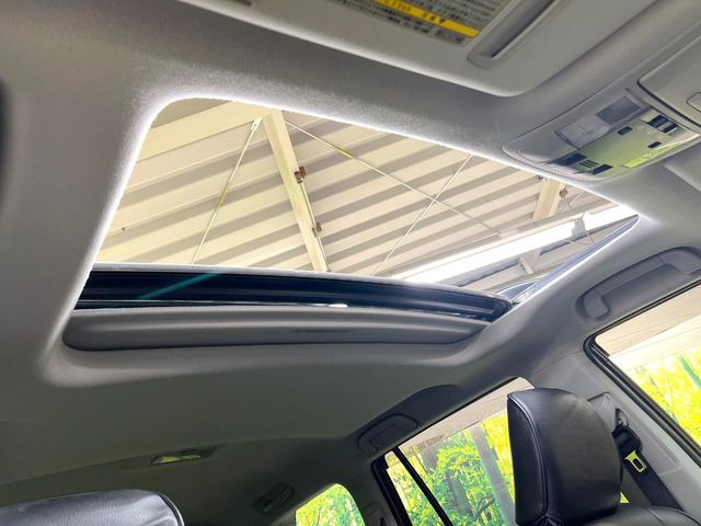 �y�T�����[�t�z�J���������Ղ�̊󏭑����A�T�����[�t����������Ă��܂�!�ԓ��ɖ�����������ꂽ��i�F���y���ވȊO�ɂ��A�ԓ��̋�C���ȒP�Ɋ��C�ł��ĉ��K�ł�!