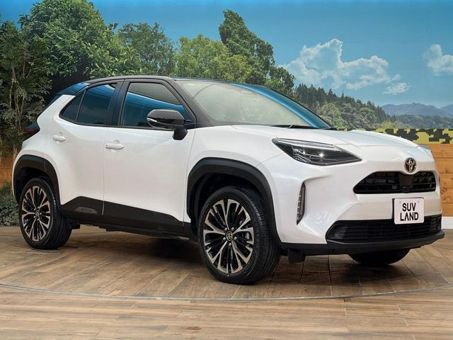 �������x�̃K���X�疌�ŝ����͂������A�㎿�ȃc���E����������B���O����_���J�����؂Ȉ��Ԃ�ی삵�A�F�����E�򉻂�h�~�B�u�e�X�v���b�V���R�[�g�v�A�u�e�v���~�b�T�R�[�g�v���炨�I�т��������܂��B