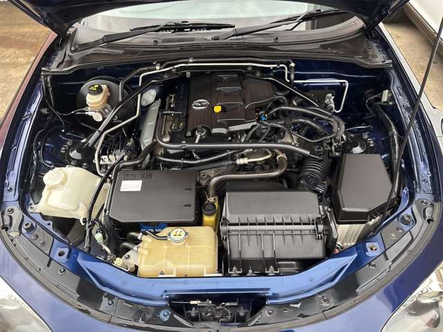 �N���[�j���O�ς�