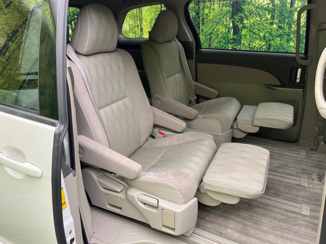 �㕔���Ȃ��C�ɂȂ�悤�ȃL�Y�E�����ւ��蓙�A�傫�ȃ_���[�W�͂Ȃ��A�ǍD�ȏ�Ԃł��B