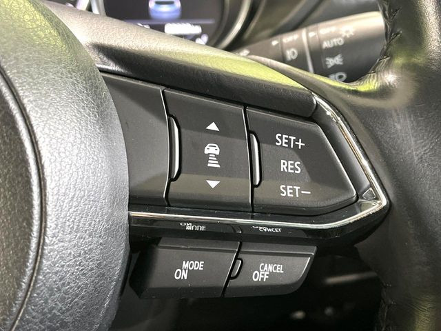 �y�}�c�_�E���[�_�[�N���[�Y�R���g���[���z�������H�ł̒��������s���y��!�����ő��x��ۂN���[�Y�R���g���[�����A�Փˌy���V�X�e���ƘA�g���A�O���̎ԗ������m���ĎԊԂ�ۂ悤�ɑ��x���߂��Ă���܂�!!