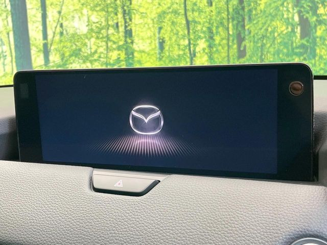 �y12.3�C���`�}�c�_�R�l�N�g�z�ԓ��̕��͋C�Ƀ}�b�`������^�f�B�X�v���C�B�X�}�z�ڑ��ł̃i�r�g�p��Bluetooth�Đ����A�l�X�ȋ@�\���y���߂܂��B�����I�ȃ_�C�������삪�\�ŁA�g��������ǍD�ł��B