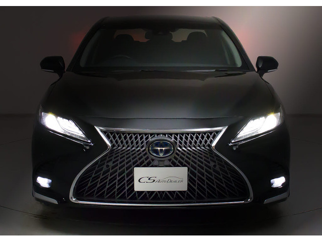 �t�����g�r���[�̑��݊���������������!!�w�b�h���C�g�͎��E�ǍD�̃��C�g�A����Ƀt�H�O���C�g���ځB�f�U�C�����������̂������ł��B