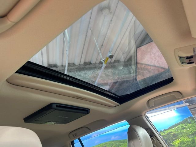 �y�T�����[�t�z�J���������Ղ�̊󏭑����A�T�����[�t����������Ă��܂�!�ԓ��ɖ�����������ꂽ��i�F���y���ވȊO�ɂ��A�ԓ��̋�C���ȒP�Ɋ��C�ł��ĉ��K�ł�!