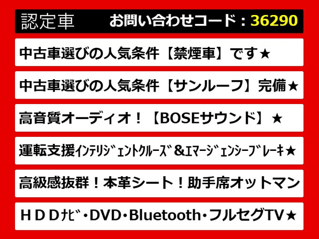 �V�[�}�A�V�[�}�n�C�u���b�h�A���Y�V�[�}�A���Y�V�[�}�n�C�u���b�h�AY51�V�[�}�AY51�n�V�[�}�A�C���p���V�[�}�A�V�[�}Y51�A�V�[�}Y51�n�A�e�O���[�h�����p�ӂ��Ă���܂�!