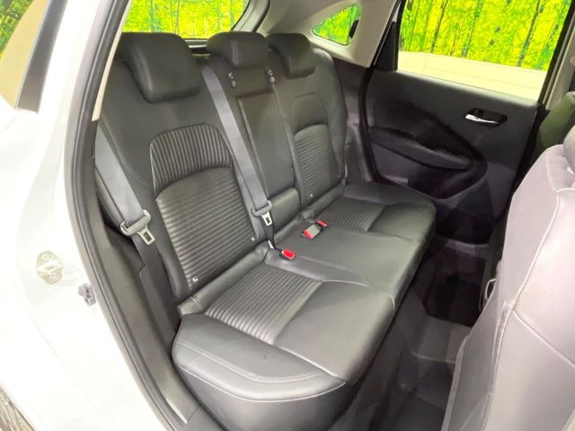 �㕔���Ȃ��C�ɂȂ�悤�ȃL�Y�E�����ւ��蓙�A�傫�ȃ_���[�W�͂Ȃ��A�ǍD�ȏ�Ԃł��B