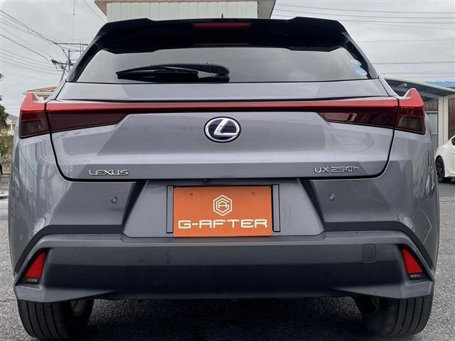 ���Ǝҗl�ւ̔̔��͂��f�肳���Ă��������܂��B �Ԍ������ԗ��̏ꍇ�́A�Ԍ����擾�������x�������z�ŕ\�����Ă���܂��B