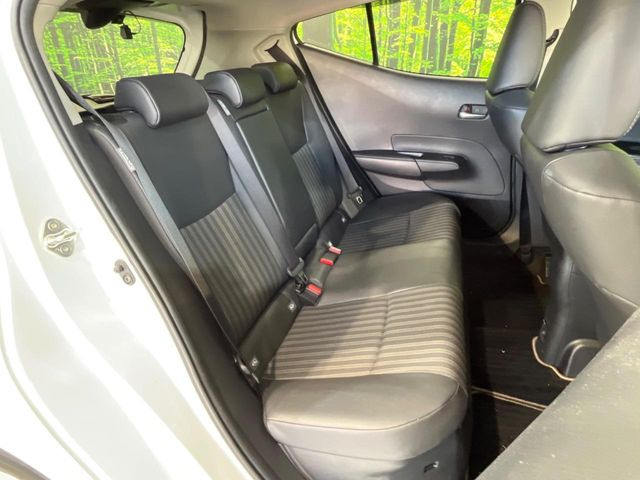 �㕔���Ȃ��C�ɂȂ�悤�ȃL�Y�E�����ւ��蓙�A�傫�ȃ_���[�W�͂Ȃ��A�ǍD�ȏ�Ԃł��B