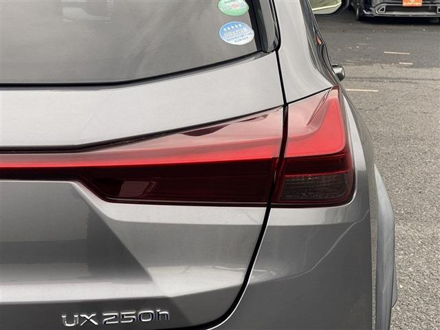 ���Ǝҗl�ւ̔̔��͂��f�肳���Ă��������܂��B �Ԍ������ԗ��̏ꍇ�́A�Ԍ����擾�������x�������z�ŕ\�����Ă���܂��B