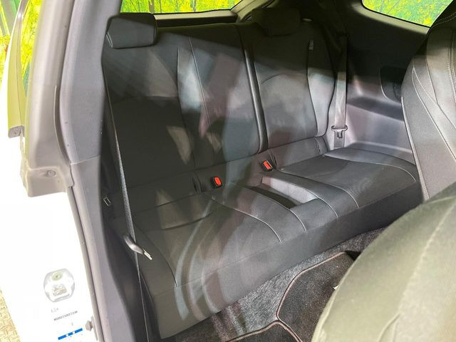 �㕔���Ȃ��C�ɂȂ�悤�ȃL�Y�E�����ւ��蓙�A�傫�ȃ_���[�W�͂Ȃ��A�ǍD�ȏ�Ԃł��B