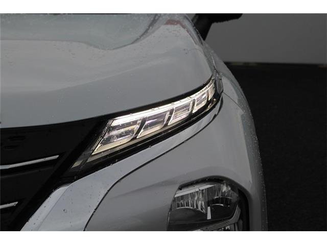 ���Ǝҗl�ւ̔̔��͂��f�肳���Ă��������܂��B �Ԍ������ԗ��̏ꍇ�́A�Ԍ����擾�������x�������z�ŕ\�����Ă���܂��B