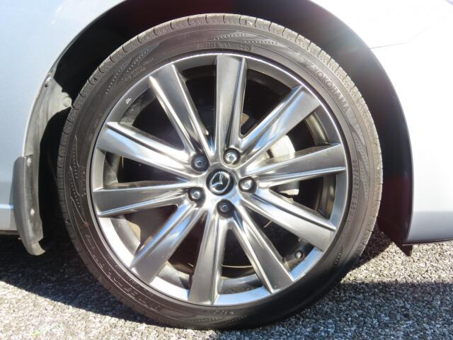 �����A���~�𗚂��Ă܂�!�R��̖ʂł����􂵂Ă���鑕���ł�!