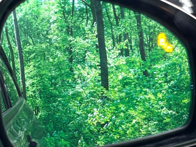 �y�u���C���h�X�|�b�g�C���t�H���[�V�����z���s���A�h�A�~���[�̎��p�ɂȂ�₷���ӏ��Ɍ㑱�Ԃ��ڋ߂���ƃT�C�h�~���[�t�߂Ɍx����\���A�h���C�o�[�ɒ��ӊ��N�����Ă���܂��B