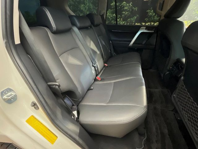 �㕔���Ȃ��C�ɂȂ�悤�ȃL�Y�E�����ւ��蓙�A�傫�ȃ_���[�W�͂Ȃ��A�ǍD�ȏ�Ԃł��B