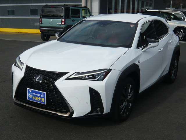 �����s87742�L��!���́E�C���𖳂����x�͑�ϗǍD�ł�!�������[���̈ꉟ���ԁA���}��������!��